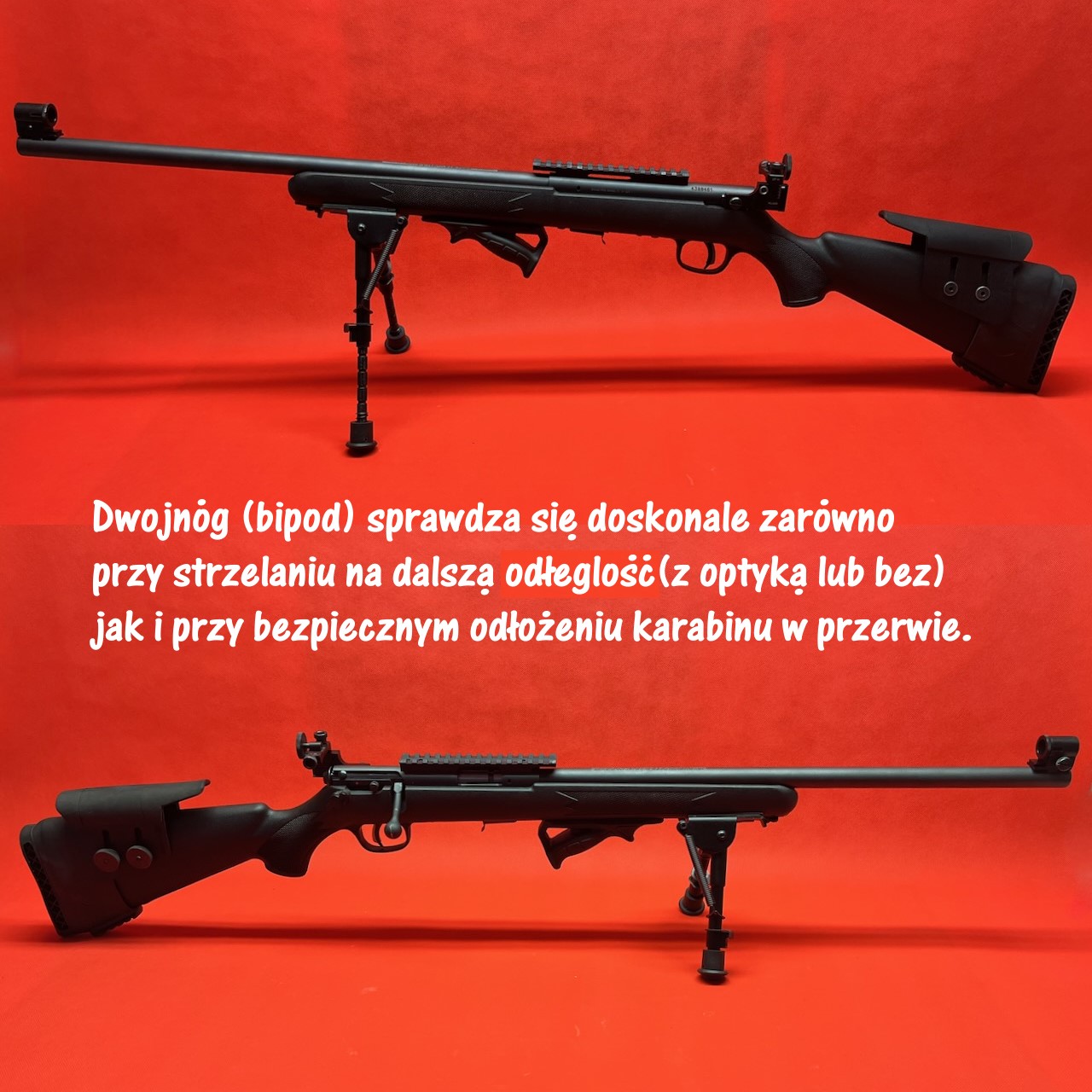 Karabinek Savage Custom Mark II FVT z diopterem i optyką - .22LR