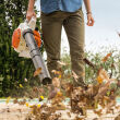 STIHL BG 56; dmuchawa ogrodowa - 3