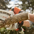 STIHL GTA 26; akumulatorowa przecinarka do drewna; z akumulatorem AS2 i ładowarką AL1 - 5