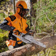 STIHL MS 241 C-M; moc 3,1KM; prowadnica 35cm; łańcuch 1,3 3/8