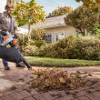 STIHL SHA 56; odkurzacz akumulatorowy; zestaw z AK20; AL101 - 8
