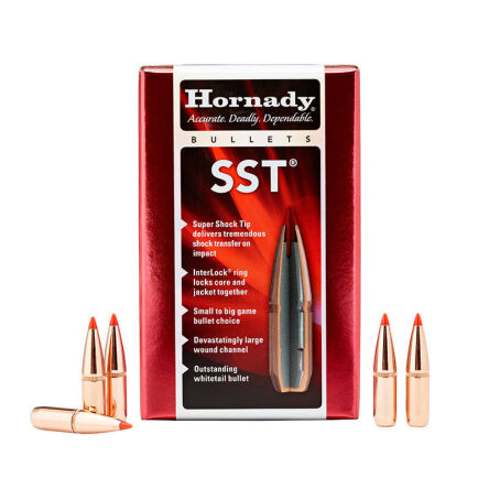 Pociski Hornady 6mm .243 SST 95gr (100szt) (24532)