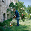 STIHL FSE 31; moc 245W; głowica żyłkowa - 2