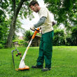 STIHL FSE 31; moc 245W; głowica żyłkowa - 3