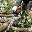 STIHL MS 261; moc 4,1KM; prowadnica 40cm; łańcuch 1,3 .325