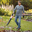 STIHL BGA 57; dmuchawa akumulatorowa; zestaw z AK20; AL101 - 6