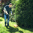 STIHL FSE 81; moc 1000W; głowica AC C5-2 - 3