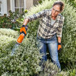 STIHL HSA 26; akumulatorowe nożyce do cięcia krzewów; z akumulatorem AS2 i ładowarką AL1 - 4