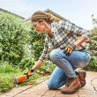 STIHL HSA 26; akumulatorowe nożyce do cięcia krzewów; z akumulatorem AS2 i ładowarką AL1 - 6
