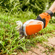 STIHL HSA 26; akumulatorowe nożyce do cięcia krzewów; z akumulatorem AS2 i ładowarką AL1 - 7