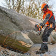 STIHL MS 661 C-M; moc 7,3KM; prowadnica 71cm; łańcuch 1,6 3/8