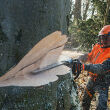 STIHL MS 661 C-M; moc 7,3KM; prowadnica 71cm; łańcuch 1,6 3/8