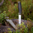 Nóż Morakniv Companion MG oliwkowy (C - stal węglowa) - 2