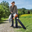 STIHL SHE 81; odkurzacz elektryczny; 750 m3/h; 1,4kW - 2