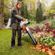 STIHL SH 86; odkurzacz ogrodowy; 810 m3/h - 2