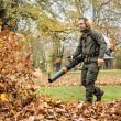 STIHL BR800 C-E; dmuchawa plecakowa; 97m/s; 11,7kg - 4
