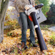 STIHL SH 56; odkurzacz ogrodowy; 730 m3/h - 2