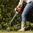 STIHL HSA 56; listwa tnąca 45cm; z AK10 + AL101 - 2