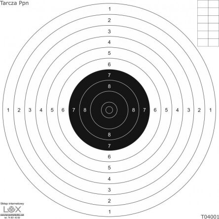 Tarcze do pistoletu pneumatycznego na kartonie 170x170mm (op. 25szt)