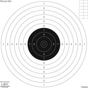 Tarcze do pistoletu pneumatycznego na kartonie 170x170mm (op. 25szt)