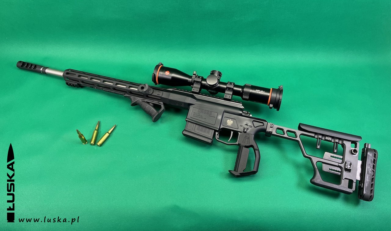 luska.pl - blog o broni palnej - Custom gun - Sig Sauer Cross