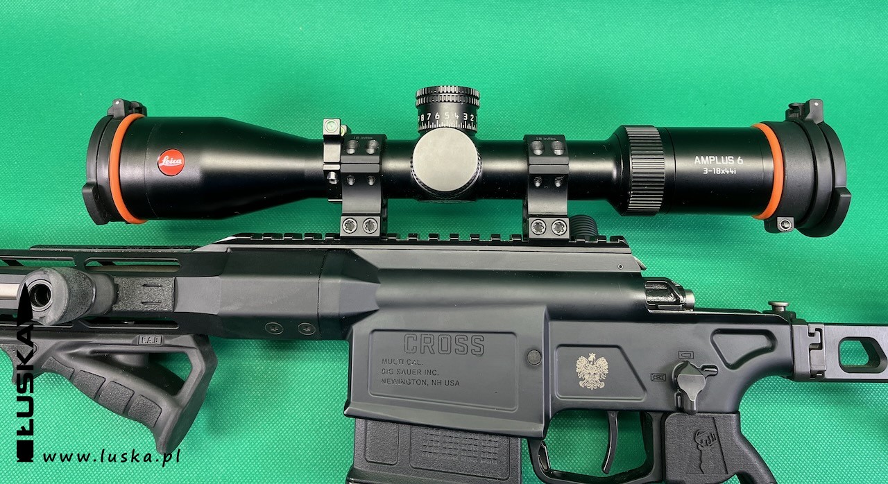 luska.pl - blog o broni palnej - Custom gun - Sig Sauer Cross