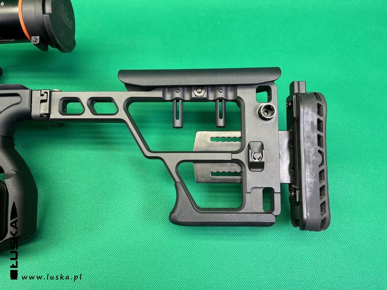 luska.pl - blog o broni palnej - Custom gun - Sig Sauer Cross