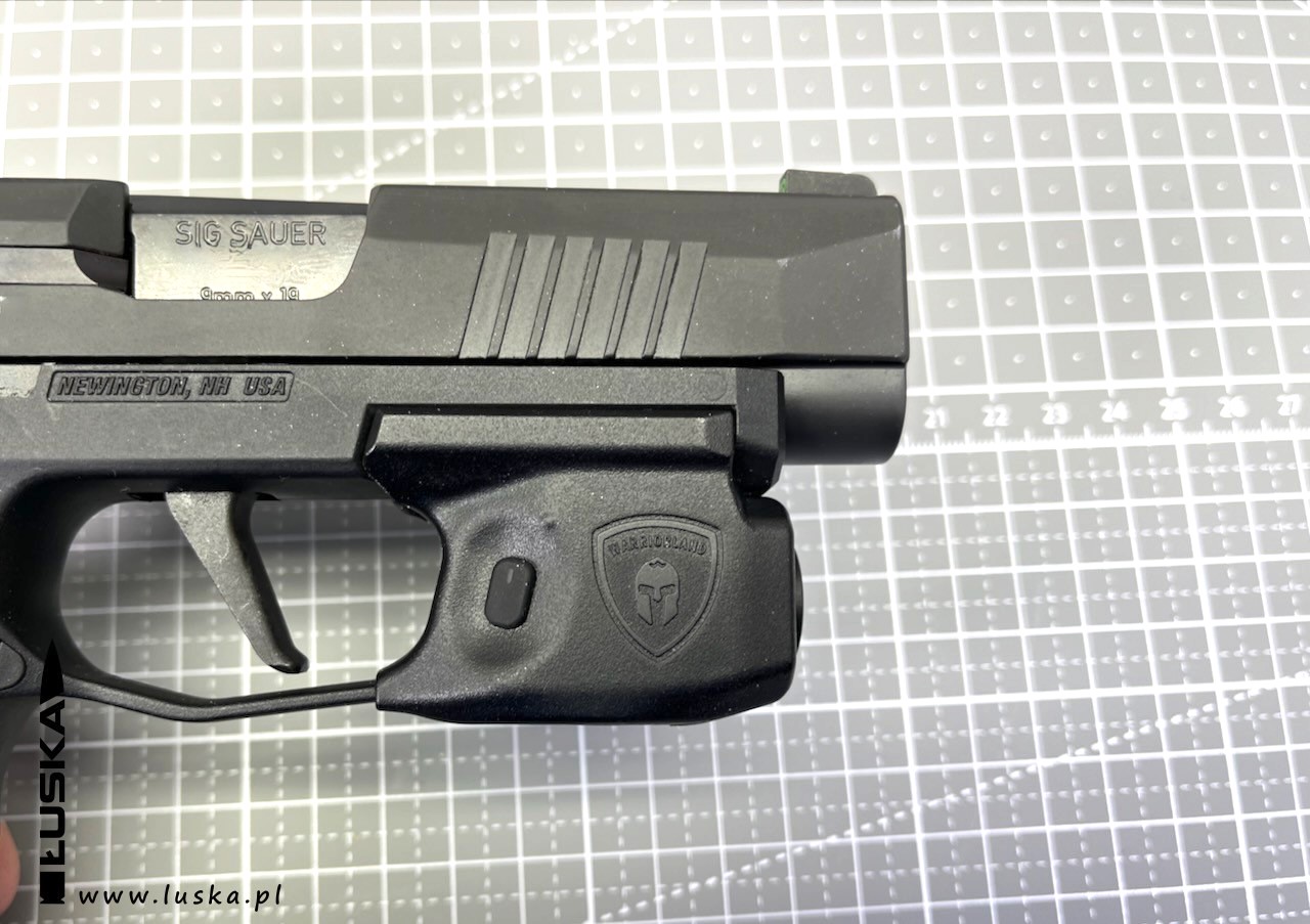 luska.pl - blog o broni palnej - custom gun Sig Sauer P365XL