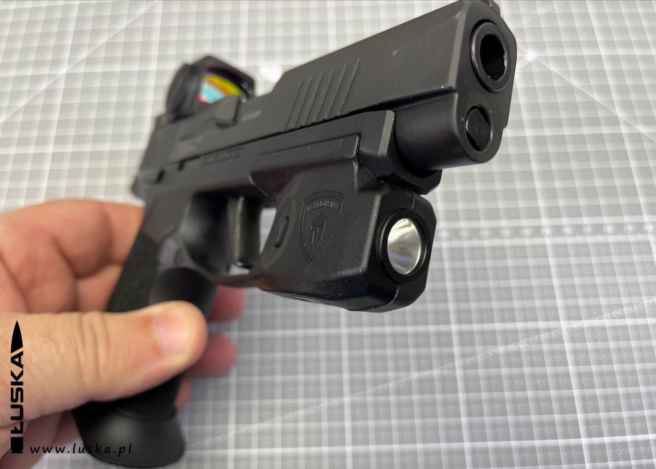 luska.pl - blog o broni palnej - custom gun Sig Sauer P365XL